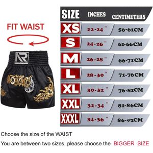 Pantalones Cortos de Muay Thai Anotherboxer, Negros con Bordado Dorado, de Secado Rápido, Unisex, para Entrenamiento y Combate - Product Image 4