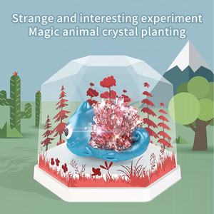 Nouveau jouet STEM : Kit d'expérimentation scientifique pour enfants, pour la culture de plantes en cristal magique, fait main, éducatif - Product Image 6