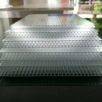 Panneau de toit cellulaire en polycarbonate 8MM 10MM 12MM 14mm 16mm Soleil alvéolé en polycarbonate transparent