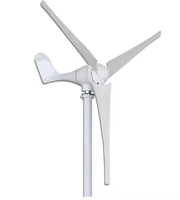 Générateur d'électricité éolienne industrielle 800W Générateur de turbine éolienne horizontale Windmolen