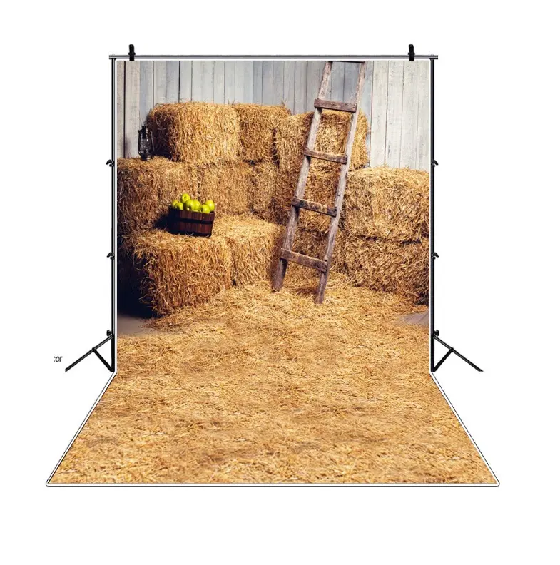 Hot Selling A Old Barn Theme Background Paper Durable And Unfading Background Cloth For Photo Studio Accessories