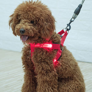 สายจูงสุนัข LED แบบชาร์จไฟได้เสื้อกั๊กเรืองแสงในที่มืดเรืองแสงสำหรับใช้กลางแจ้งแมวและสุนัขที่มีคุณสมบัติให้แสงสว่าง - Product Image 3