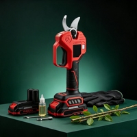 L&P 21V Borstelloze Telescopische Takkenknipper Lithium Accu Hoge Bereik Snoeischaar Set Draadloze Snoeischaar