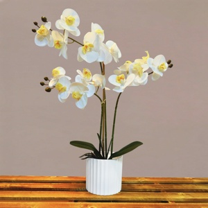 Nuovo stile orchidea vero tocco per sempre <span class=keywords><strong>fiori</strong></span> <span class=keywords><strong>vaso</strong></span> per piante <span class=keywords><strong>fiori</strong></span> artificiali decorativi - Product Image 3
