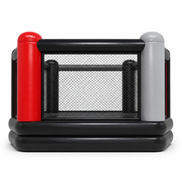 octágono de MMA