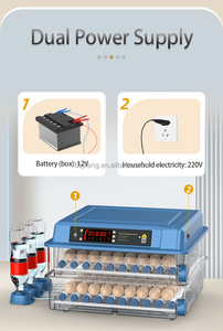 Máy Ấp Trứng Để Ấp 100 Trứng Máy Ấp Trứng Gia Cầm, Máy Ấp Trứng Có Kiểm Soát Nhiệt Độ Độ Ẩm, <span class=keywords><strong>F</strong></span> - Product Image 5
