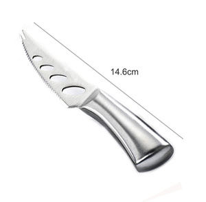 DF01 Juego de 4 Cuchillos para Queso de Acero Inoxidable, Rallador de Parmesano y Cuchillo Serrado para Queso Blando para Bandejas - Product Image 3