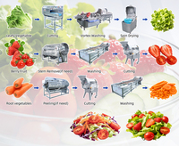 Professionele aardbeien-tomaat-groentesalade verwerkingslijn, industriële kwaliteit, hoog rendement saladeproductiesysteem