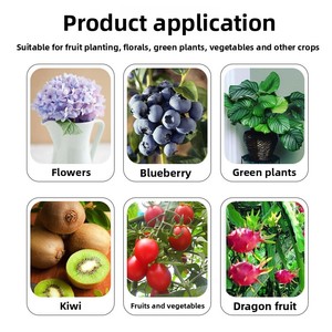Fertilizante foliar en polvo NPK de alto contenido en nitrógeno, soluble en agua, con oligoelementos quelados 30-10-10+TE para melón, frutas y verduras. - Product Image 6