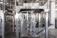 Prix d'usine – Ensacheuse multifonctionnelle automatique haute précision à têtes multiples pour l'emballage de haricots torréfiés, pois chiches, noix de cajou et autres fruits à coque