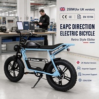 Vélo électrique rétro EAPC 250W (version UK) avec version de marché pour importateurs et fournisseurs OEM