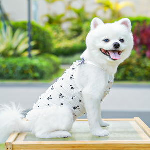 Chaleco de Verano de Lujo con Encaje Floral en Capas para Gatos y Perros de Patas Cortas, Primavera Verano - Product Image 5