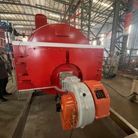 Chaudière à vapeur à tubes de fumée WNS, structure à retour humide en 3 passages, 2 tonnes, 4 tonnes, 6 tonnes, 8 tonnes, 10 tonnes, au gaz ou au mazout