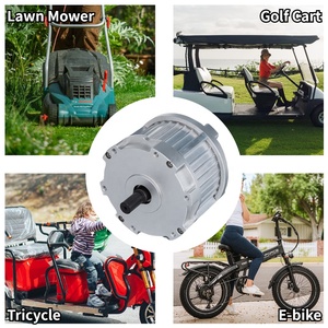 Ito giảm tiếng ồn 12V 24V 36V 110V 220V không chổi than DC điện thuyền đi giỏ hàng BLDC động cơ - Product Image 5