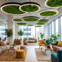 Lustre LED circulaire en mousse stabilisée avec cadre noir, lampe de plafond naturelle biophilique pour la décoration de cafés et restaurants