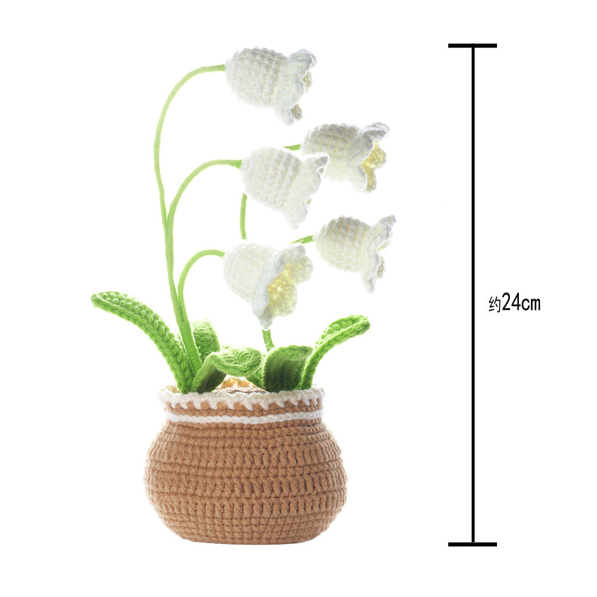 Muguet rempotage + vidéo en anglais