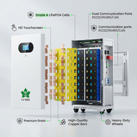 Batterie LiFePO4 murale 51,2 V 200 Ah 10,24 kWh avec BMS intégré pour stockage d'énergie solaire domestique