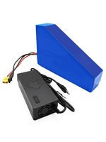 Batterie de vélo électrique triangulaire 20Ah 30Ah 40Ah 50Ah 48V 52V 72V XT60 XT90 pour tricycle cargo et scooter de mobilité pour personnes âgées – Stock RU