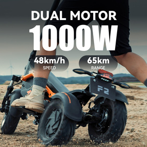 Monopattino Elettrico a 3 Ruote per Adulti 2026 - Ultimo Modello, Scooter per Mobilità a 3 Ruote Monopezzo - Product Image 5