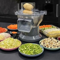 Multifunctionele commerciële gemotoriseerde groente- en fruitsnijmachine, ui- en gembersnijder, -slicer en -hakselaar voor restaurantgebruik