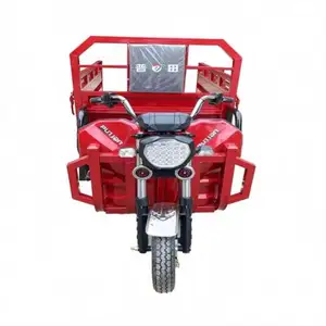 The New Listing Electric Electric Trike 1000 Watt Hub Motor Kit Electric Bike For Cargo Delivery