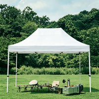 Tente pliante publicitaire d'extérieur 10x13 pieds, vente en gros, haute qualité, imperméable, tente pop-up pour expositions, événements, barbecues, fêtes