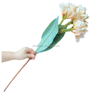 Bouquet de fleurs artificielles en soie Frangipanier pour Noël et la rentrée scolaire Plumeria <span class=keywords><strong>Rubra</strong></span> inspiré des tropiques hawaïens - Product Image 2