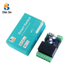 EweLink Wifi chuyển đổi thông minh DC 12V 24V 48V khô liên hệ với 2 CH tiếp sức Receiver thời gian mô-đun làm việc với Alexa Google