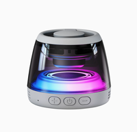 Cadeau d'entreprise promotionnel, portable, solaire, alimenté par DC 3, pour haut-parleur V2.0, autonomie de la batterie de 15 à 20 heures, LED RVB, support de téléphone, radio FM