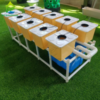 Sistem Hidroponik Dutch Bucket Lengkap untuk Rumah Kaca Kecil dengan PE Polyethylene untuk Penanaman Tomat