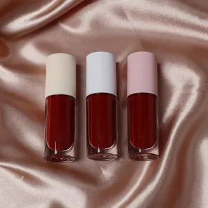 2022 Zeer Gepigmenteerde Vrouwen Fluwelen Rode Matte Hydraterende Hoge Kwaliteit Lipstick Gift Set