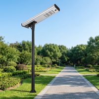 Lampadaire solaire LED monocristallin en silicium 80W à haut rendement lumineux, batterie LiFePO4, indice de protection IP65, construction en alliage d'aluminium