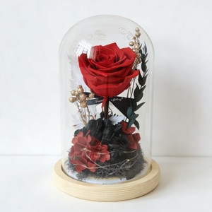 Rose éternelle sous cloche en verre, plusieurs tailles, cadeau pour la Saint-Valentin, Noë<span class=keywords><strong>l</strong></span>, décoration d'intérieur, ornement, directement <span class=keywords><strong>de</strong></span> <span class=keywords><strong>l</strong></span>'usine - Product Image 4