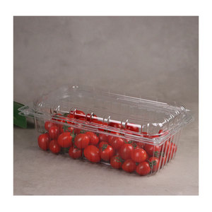 Tùy chỉnh khay rõ ràng sinh thái dùng một lần container dùng một lần rõ ràng nhựa thực phẩm container - Product Image 1