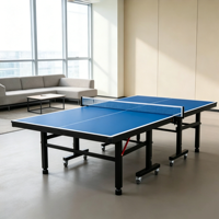 Table de ping-pong d'intérieur pliable, panneau standard, mobile avec roues et balles