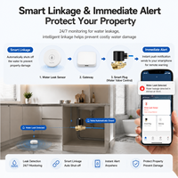 Sensor de Fugas de Agua Zigbee al por Mayor, Alarma Inteligente de Inundación Tuya para Automatización del Hogar, Detector de Fugas de Agua Remoto y Compatible con OEM