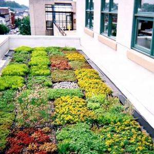 Macetas Modulares de Plástico SOL para Techos Verdes - Product Image 2