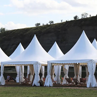 Tente industrielle populaire de 3x3m 4x4m 5x5m à usage intensif pour fête de mariage haute pagode en PVC auvent de jardin