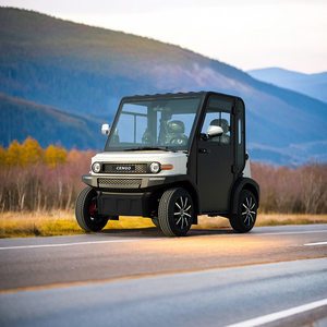 Đường phố pháp <span class=keywords><strong>l</strong></span>ý lsv với 2 hành khách đóng cửa hệ thống điện 48v3kw - Product Image 1