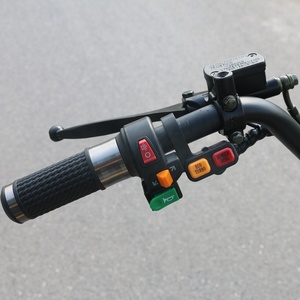 1500W 2000W Fat Tire Citycoco Scooter Eléctrico Israel/3000W <span class=keywords><strong>Tiendas</strong></span> de motocicletas eléctricas/Vehículo agrícola eléctrico - Product Image 5