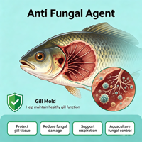 Agent antifongique pour crevettes : inhibe le fusarium, prévient les ulcères de la coquille et les branchies noires causées par la fusariosis, améliore le taux de survie des crevettes.