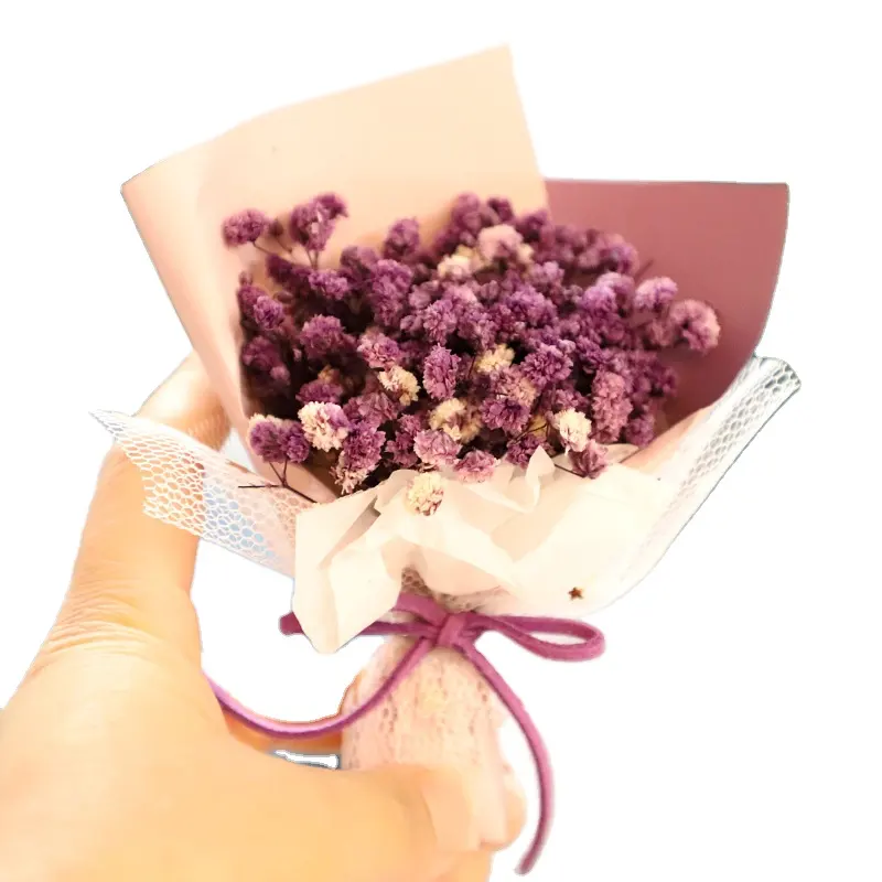 بيع بالجملة باقة صغيرة ملونة من زهور الجبسوفيلا المجففة 8x10