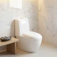WC monobloc en céramique moderne, vente en gros d'articles sanitaires, cuvette de toilettes pour appartement