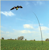 Qiao Liang Cerf-volant répulsif pour oiseaux, Cerf-volant faucon, Décoy effaroucheur pour ferme et jardin, Cerfs-volants d'extérieur pour effrayer les oiseaux
