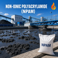 Poliacrilamida No Iónica NPAM, Floculante en Polvo, Agente Deshidratante de Lodos, 99% de Pureza, Grado Industrial