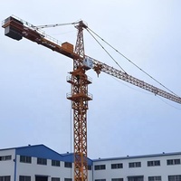Grue à tour d'occasion Zoomlion certifiée CE, auto-élévatrice, 10T, haute efficacité, moment de levage 2500KN/M, moteur, flèche 80m, moteur 60M Max