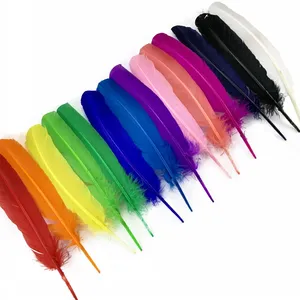 Bán Buôn 25-30 Cm Thổ Nhĩ Kỳ Quill Lông Cho Carnaval Samba Khiêu Vũ Trang Phục Mũ Ba Lô - Product Image 2
