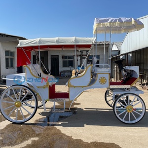 Calèche électrique économique à 2 rangées, blanche, nouveau style, pour transport spécial et tourisme - Product Image 5