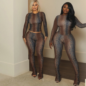 Completo Due Pezzi con Stampa Serpente per <span class=keywords><strong>Donna</strong></span>, Top Corto <span class=keywords><strong>Aderente</strong></span> e Leggings Coordinati, Abbigliamento Streetwear Elasticizzato Hipster - Product Image 1