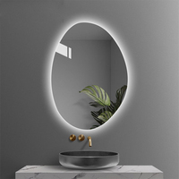 Miroir LED de salle de bain éclairé IP44 en forme d'œuf irrégulier, anti-buée, avec haut-parleur Bluetooth, miroir argenté écologique de 5 mm pour dressing